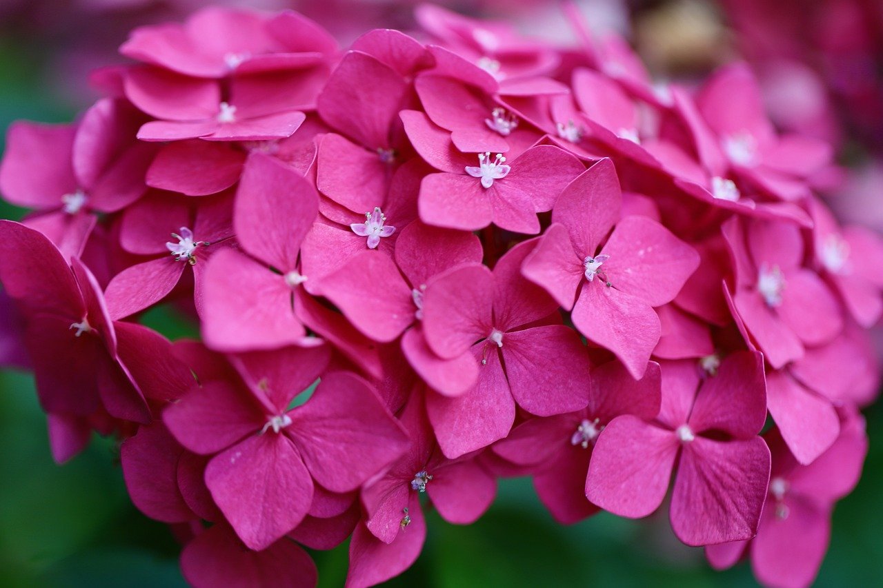 Words Ending In Ks Speech Therapy Words Ending In Ks Speech Therapy